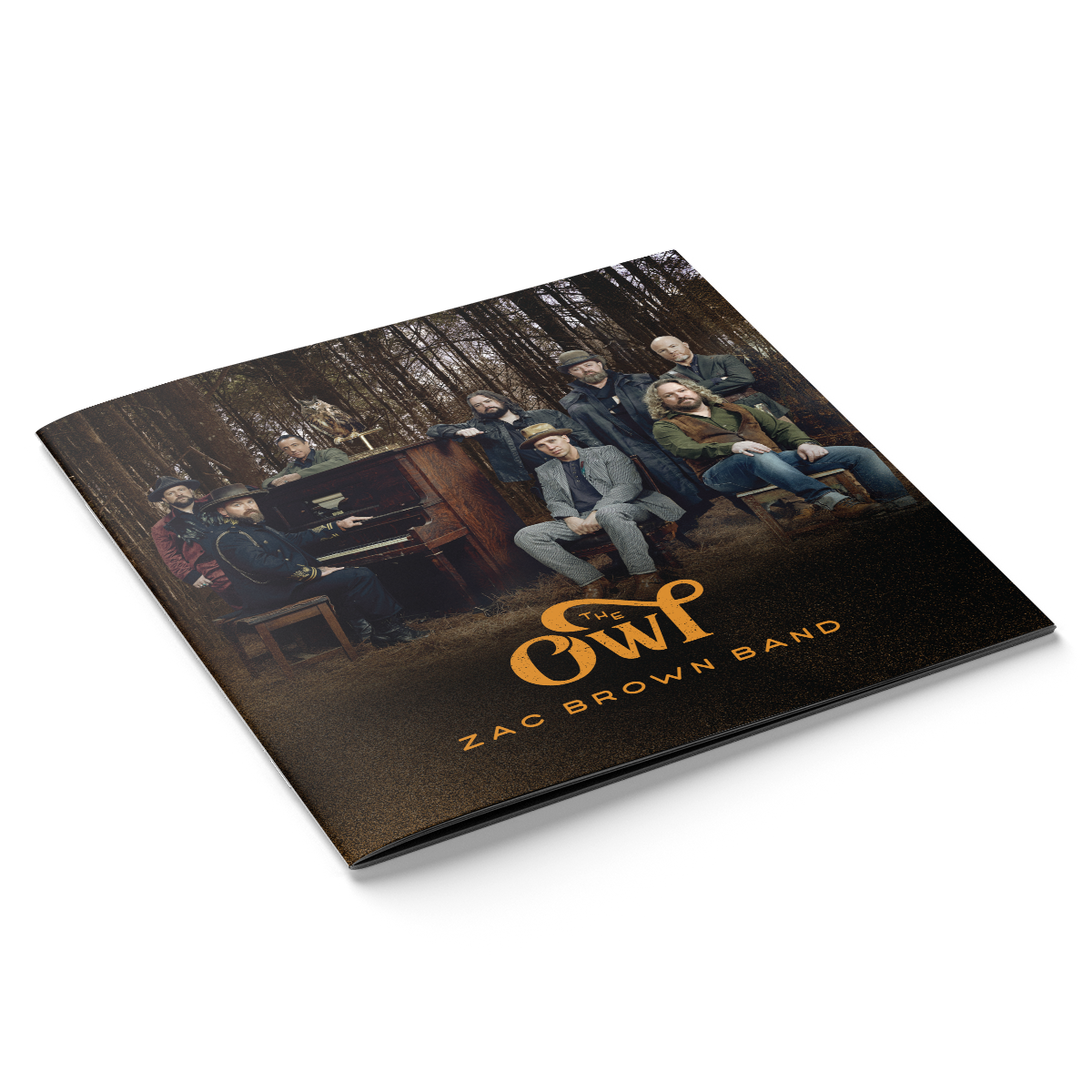 Album cover for ’The Owl’ by Zac Brown Band featuring the band members in a forest setting.